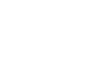 Disroot logo
