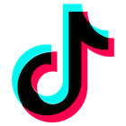 Privacy respecting frontend for TikTok logo