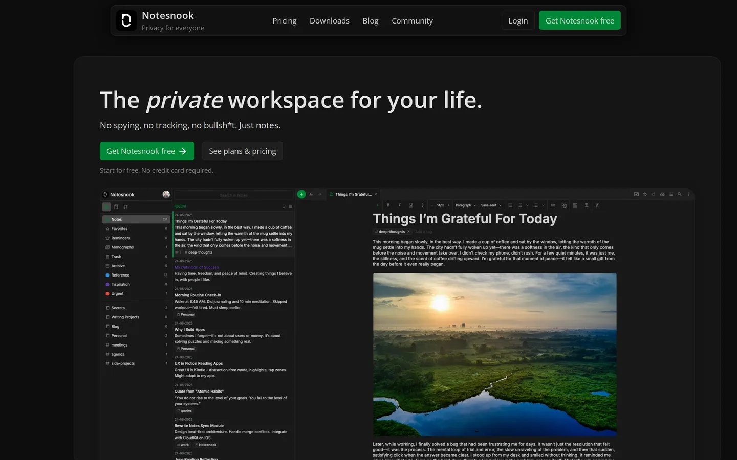 Screenshot of the Notesnook website